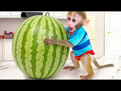 ذهب قرد بون بون إلى المزرعة لزراعة البطيخ وصنع آيس كريم عملاق مع قرد صغير