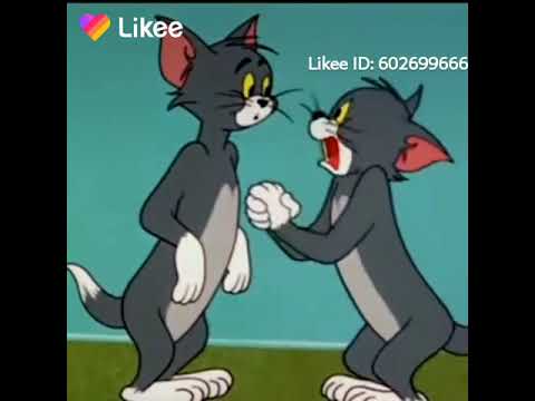 أغنية انت السند بل شدايد يا أعز الصحاب