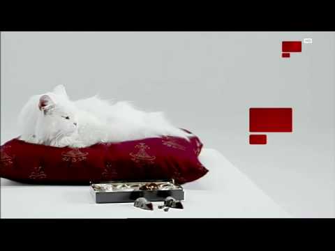 MBC Variety HD By MY HD Idents December 2016