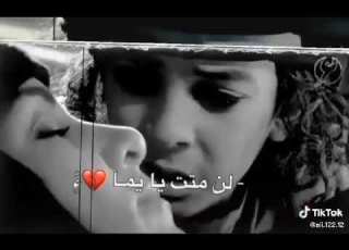  محمد السعايدة