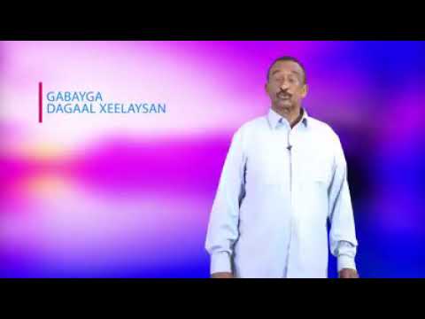 Gabay Qiiro Leh Abwaan Sugaal Cabdulle Oo Umada Somaliyed In Uun Damiir Haduu Ku Hadhay Kula Hadlay