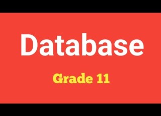 Grade 11 ICT Unit 3 1 Data Management Approaches Database Vs File Based In Amharic