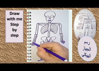  كيف ترسم هيكل عظمي للأنسان How To Draw Human Skeleton Easily