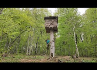 Life In A Very Dangerous Wild Forest And Building A Tree Hut