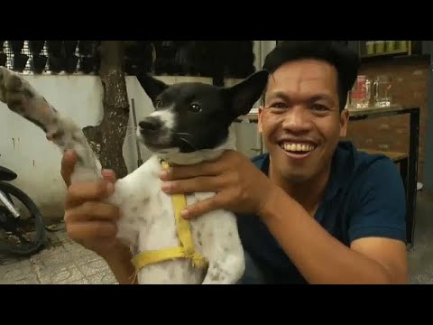 وللناس فيما يعشقون شاهد كيف ت سلق الكلاب وتشوى ثم تقدم على الموائد في كمبوديا