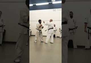 Perfect Mawashi Geri Round House Kick In Kyokushin Karate