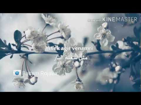 اجمل الاغاني أغنية كردية ترسامن نا مرنا مترجم بالعربية ٢٠٢٠