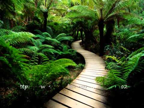 سورة الإنسان مشارى راشد تلاوة هادئة مميزة