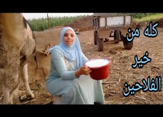 ازاى تحلبى البقره أو الجاموسه بناء على طالبكم بودن مونتاج