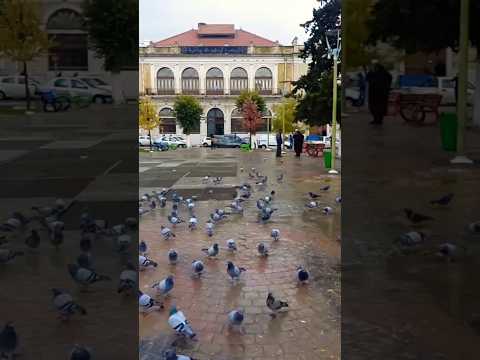 Batna مدينة باتنة الأوراس الشاوية مدينة باتنة الجزائر Batna Algerie Youtubeshorts Dz