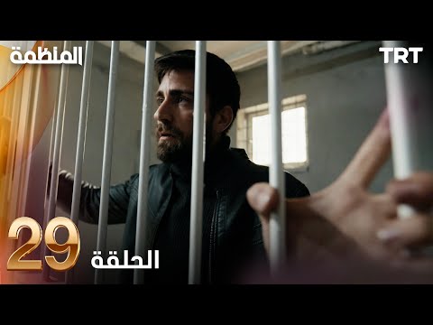 مسلسل المنظمة الحلقة 29
