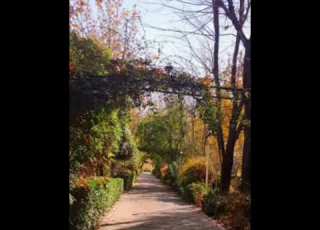 اینجا خاکستر گرمی است
