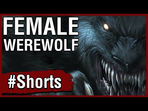 D D Story Short Female Werewolf And Chocolate Shorts