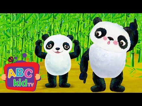 Head Shoulders Knees And Toes Animal Stories For Toddlers ABC Kid TV Nursery Rhymes Songs Head Shoulders Knees And Toes Animal Stories For Toddlers ABC Kid TV Nursery Rhymes Songs