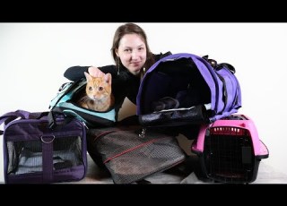  Top 5 Best Cat Carriers We Tested Them All