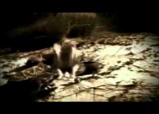  Stone Cold Steve Austin Titantron 2002 HD I Won T Do What You Tell Me By Jim Johnston 1