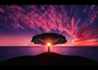  Infinite Perspective Kevin MacLeod 2 HOURS