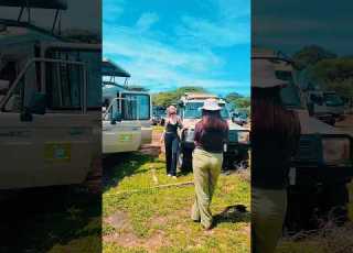  Inside A Real African Safari Car Experience Safari Fyp Travel Wildlife Africa