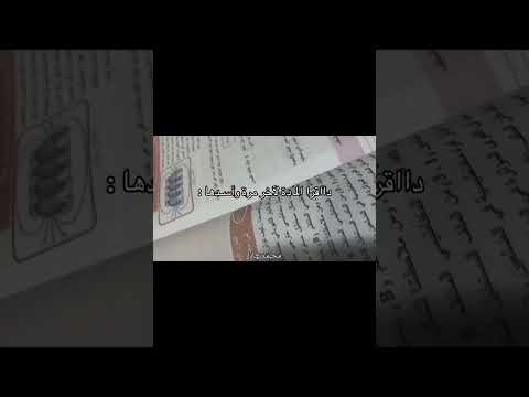 قناتي التليكرام بدون ذنوب بالبايو انضموا حيث فاطم الله هو الحب الخامس الاعدادي