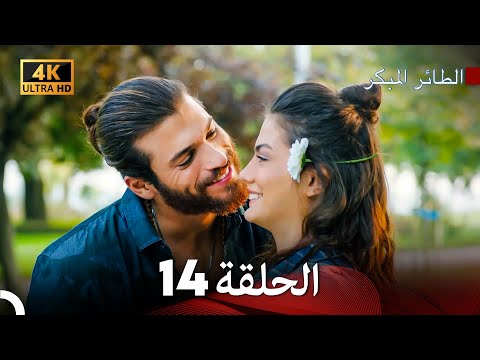 مسلسل الطائر المبكر الحلقة 14 4K Arabic Dubbed