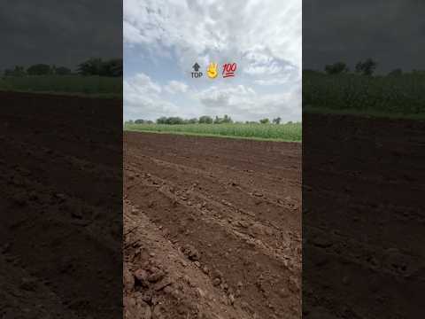 Farming Amhidudhutpadakshetkari Farmer Agriculture Automobile Royal Shetakri Nature Sheti