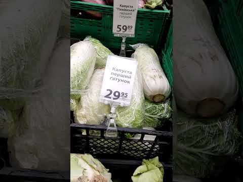 Харьков Магазин Shorts