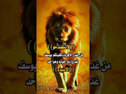 لاتنصدم من غدر الاقارب حالات واتس اقتباسات لايك اشتراك بالقناه ليصلك كل جديد