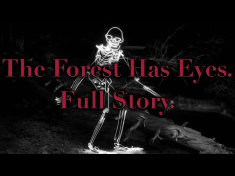 I M A Security Guard Hired To Protect An Estate The Forest Has Eyes FULL STORY