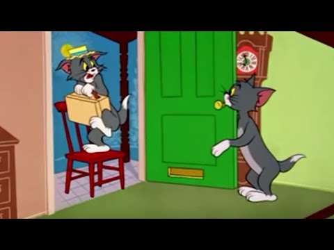 توم وجيري القط الجبان