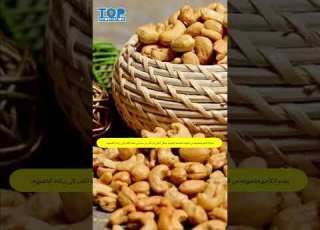 فوائد الكاجو للرجال