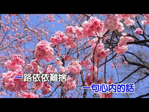 See You 阿羅哈 Karaoke字幕
