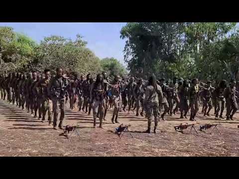 Gooticha Waraana Bilisummaa Oromoo Wbo Birgedi Leencota