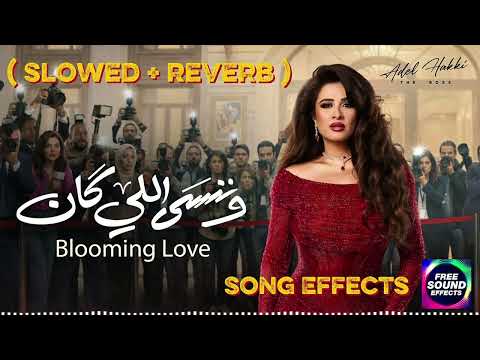 الموسيقى التصويرية لمسلسل وننسى اللي كان Slowed Reverb