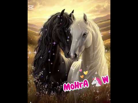 معايا بهاء سلطان