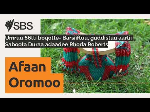Umruu 66tti Boqotte Barsiiftuu Guddistuu Aartii Saboota Duraa Adaadee Rhoda Roberts SBS