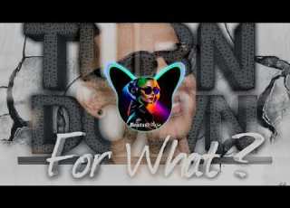  Turn Down For What Gasolina Iam Lumoss Remix