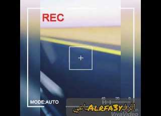 الطيب ود ضحويه التكينة