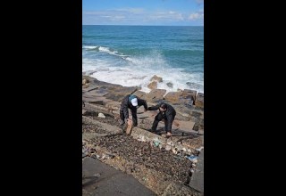 الاسكندرانيه في الشتاء