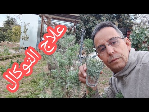 علاج التوكال والتسمم بطريقة سهلة وغير مكلفة