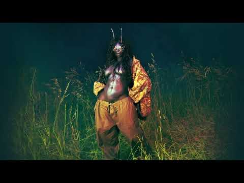 SZA Chill Baby Official Audio