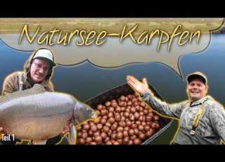 Dicke Karpfen Brauns Millionen Villa Am See Karpfenangeln In Deutschland Teil 1