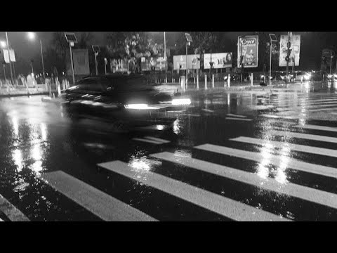 معلومات عن قرين الانثى العاشق قريني العزيز