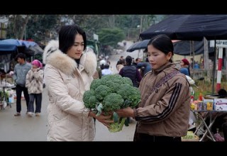 التقت هان على غير المتوقع بفتاة لطيفة في السوق الريفي فملأت هذه اللحظة قلوب الجميع دفئ ا