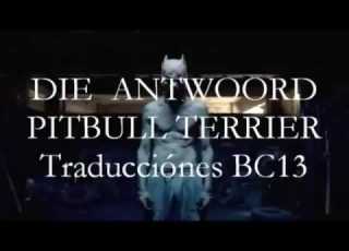 DIE ANTWOORD PITBULL TERRIER