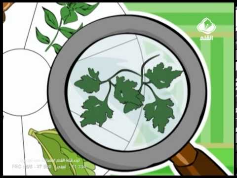 نصيحة حلا الحلقة 2