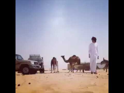 نآس آدور سپتي دورت ارضآي