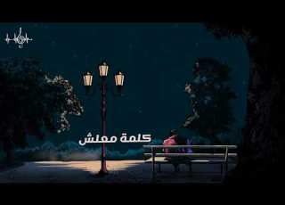 ماتعودناش حماقى حالات واتس 1