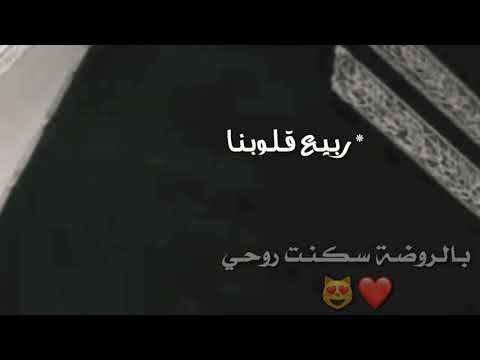 ياطيبة جئتك صبا