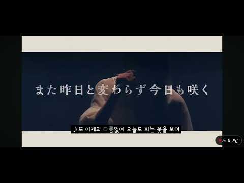 요루시카 달과 고양이의 댄스 Live 봄도둑 녹화본