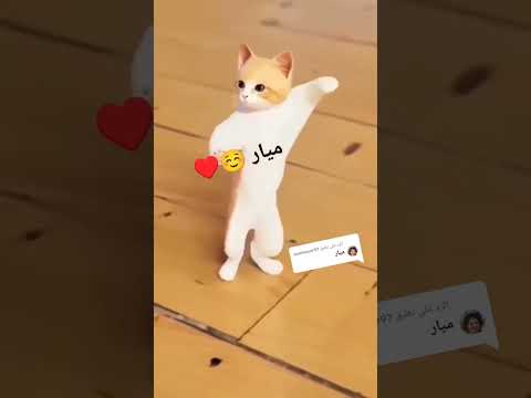 ميار الجزائر عمان السعودية العراق امارات مصر تركيا الهند الامارات